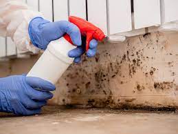 How Mold Removal In Naples Fl Helps To Get Rid Of Black Mold